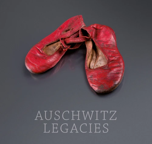 The presented image shows the book’s cover design