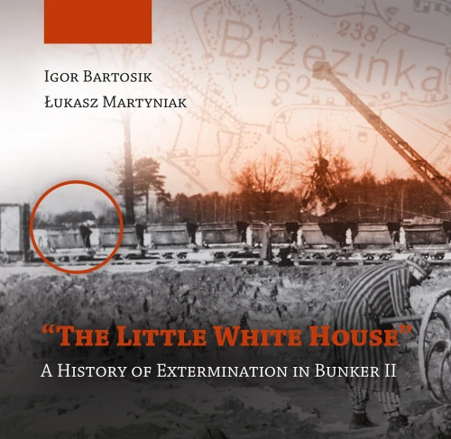 The presented image shows the book’s cover design