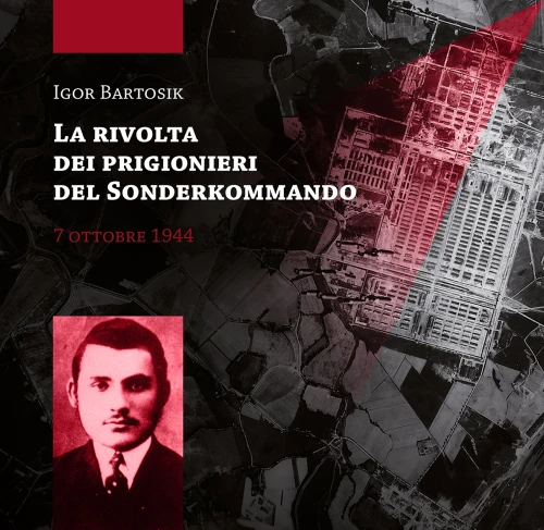 The presented image shows the book’s cover design