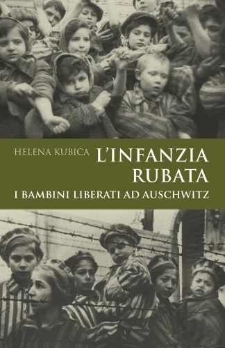 The presented image shows the book’s cover design