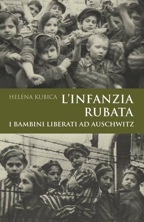 The presented image shows the book’s cover design