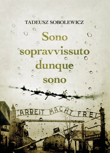 The presented image shows the book’s cover design