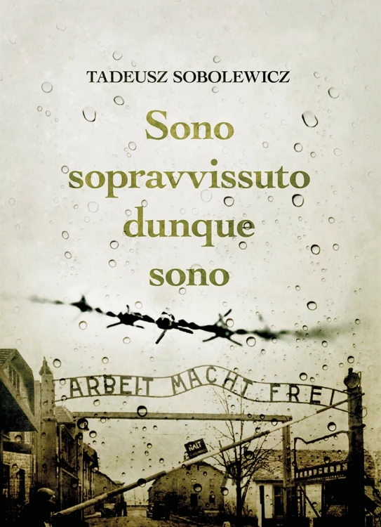 The presented image shows the book’s cover design