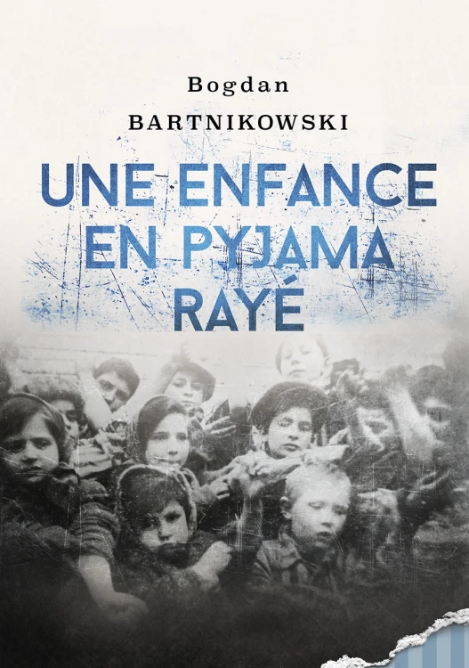 The presented image shows the book’s cover design