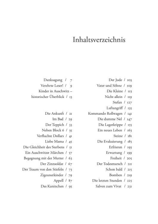 The presented image shows the book’s cover design