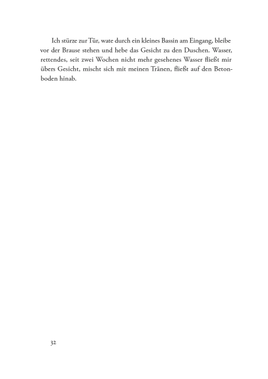 The presented image shows the book’s cover design