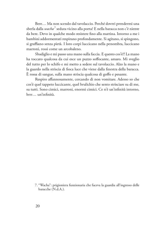 The presented image shows the book’s cover design