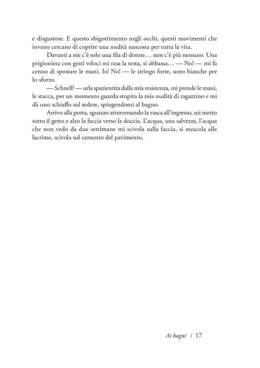 The presented image shows the book’s cover design