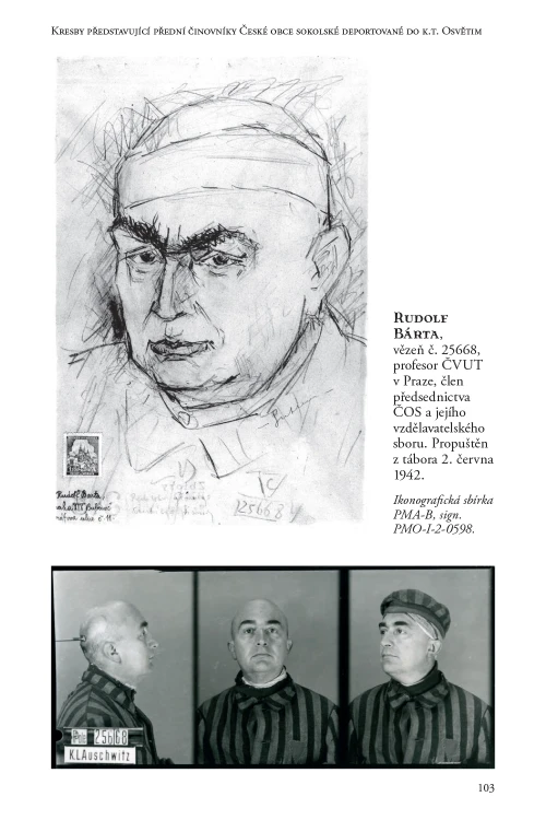 The presented image shows the book’s cover design