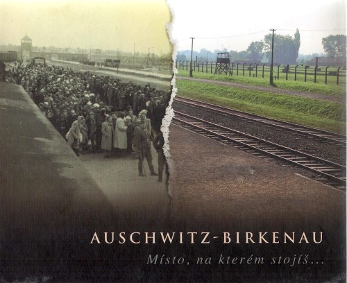 The presented image shows the book’s cover design