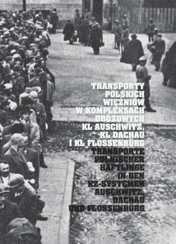 The presented image shows the book’s cover design