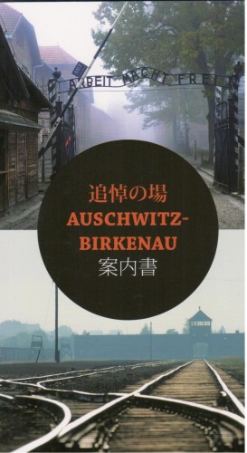 The presented image shows the book’s cover design