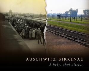 Paweł Sawicki - Auschwitz-Birkenau. A hely, ahol állsz...