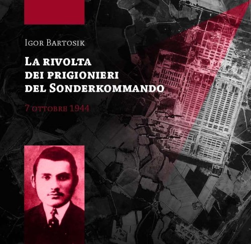 The presented image shows the book’s cover design