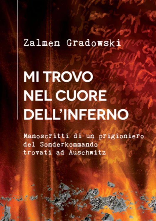 The presented image shows the book’s cover design