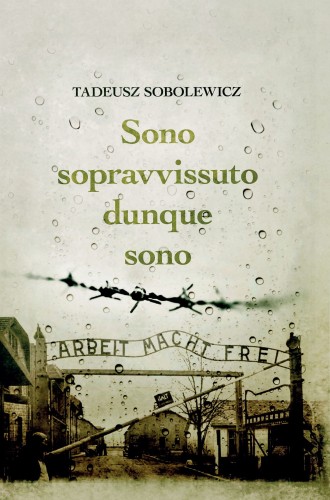 The presented image shows the book’s cover design