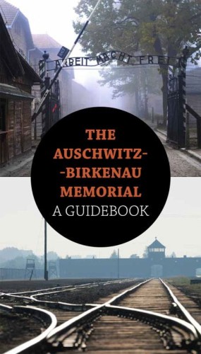 The presented image shows the book’s cover design