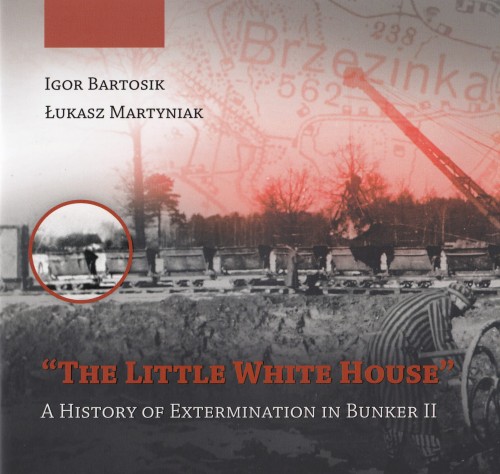 The presented image shows the book’s cover design