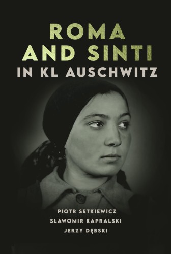 The presented image shows the book’s cover design