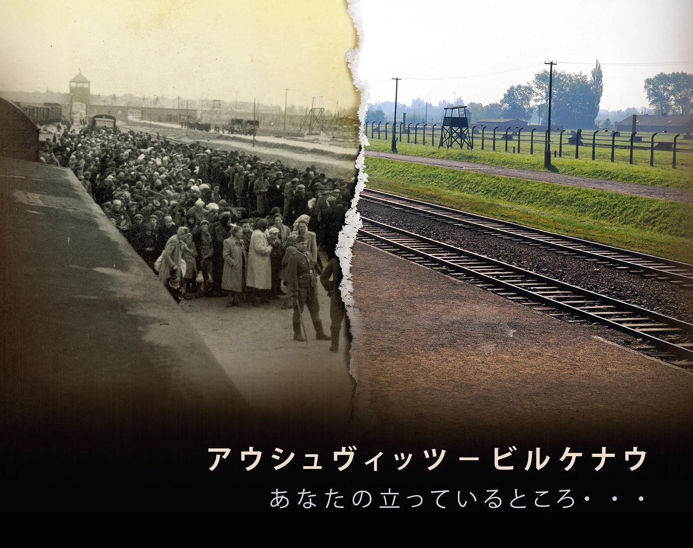 Auschwitz-Birkenau-Miejsce-na-